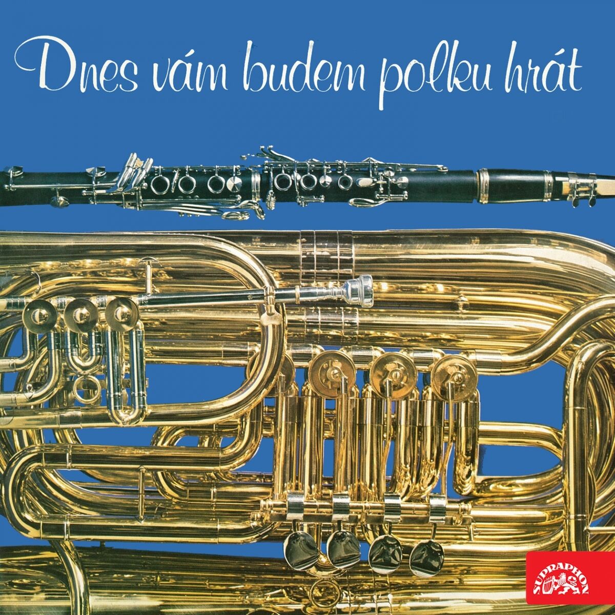 Album picture of Dnes Vám Budem Polku Hrát