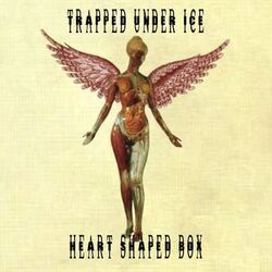 Heart-Shaped Box