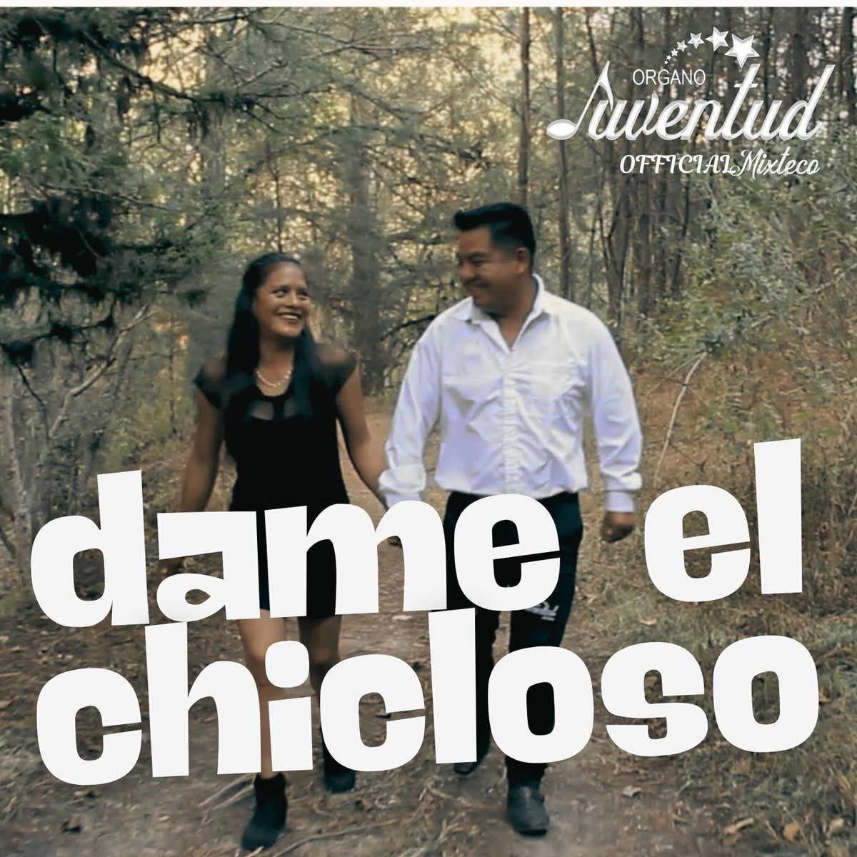 Album cover of Dame el Chicloso