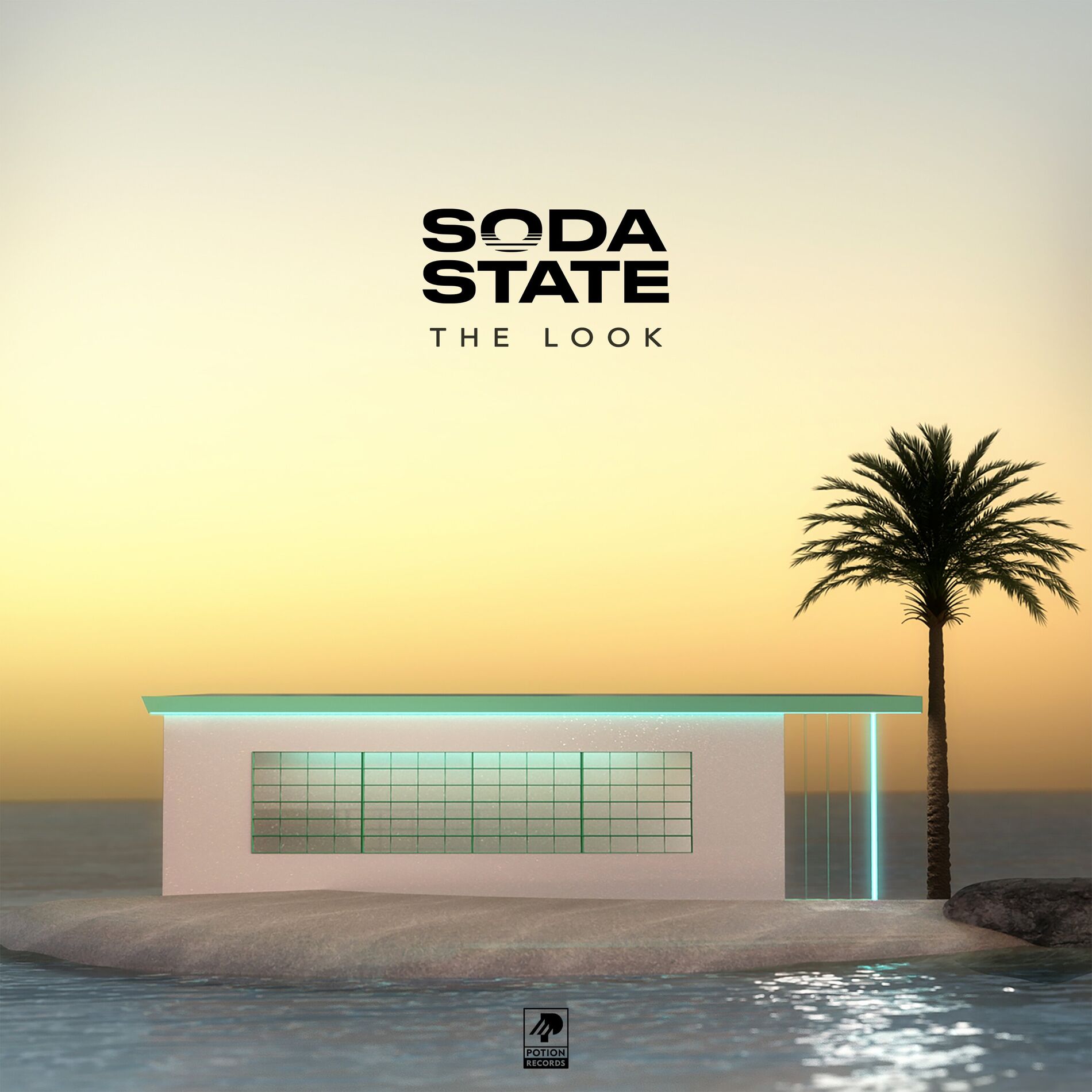 Album cover of The Look