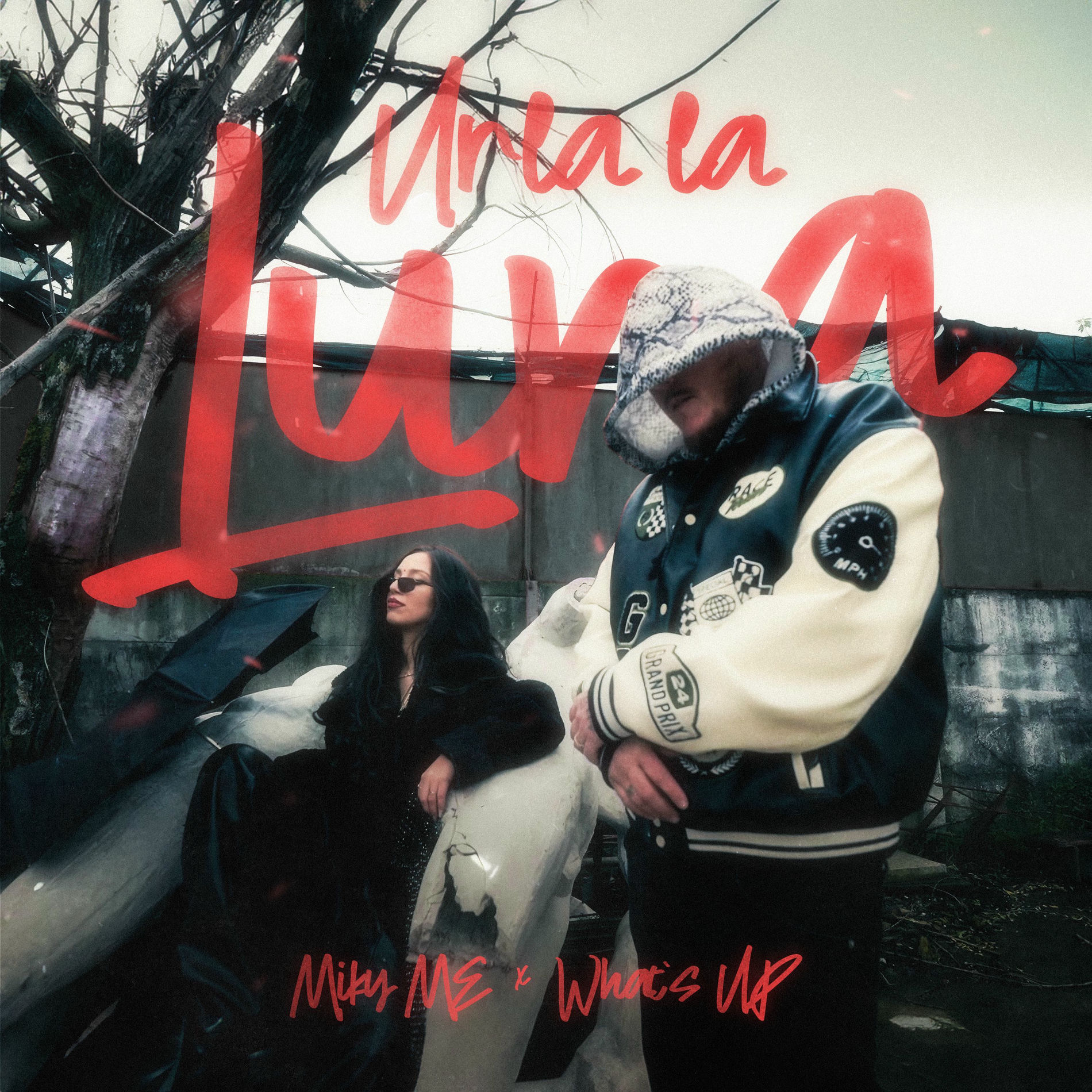Album cover of Urla la luna