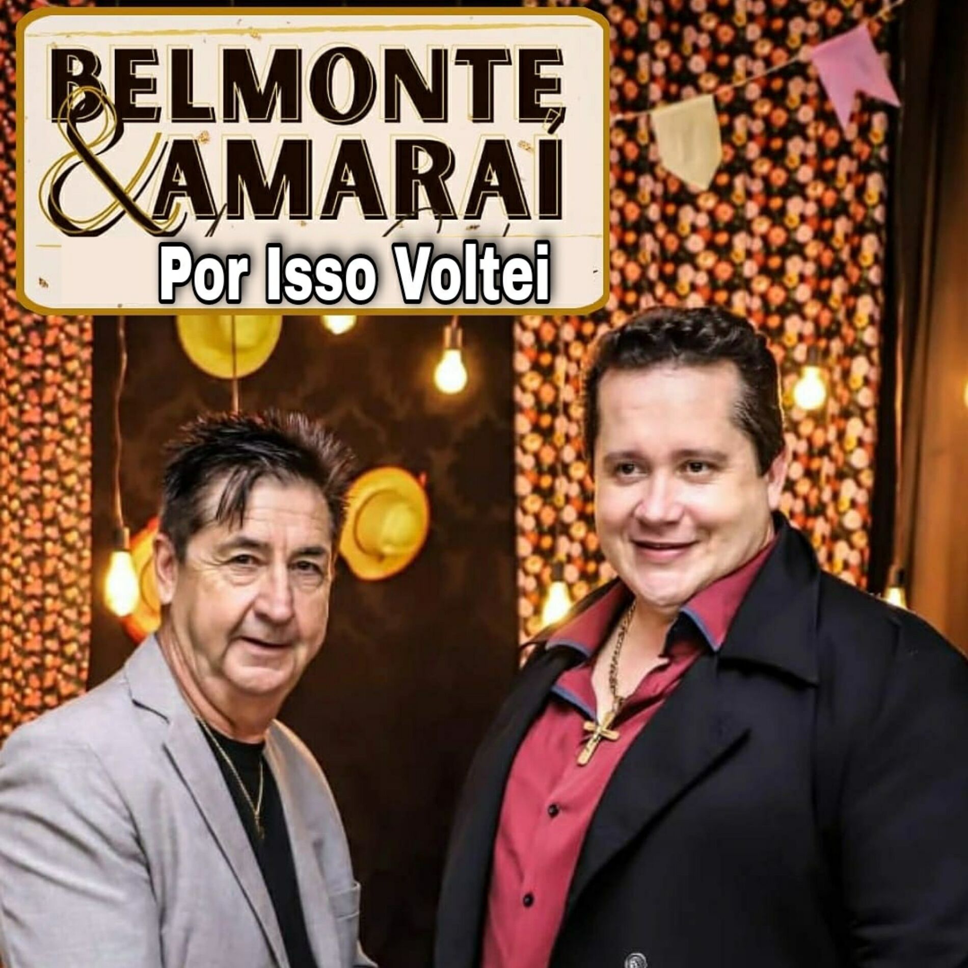 Album cover of Por Isso Voltei