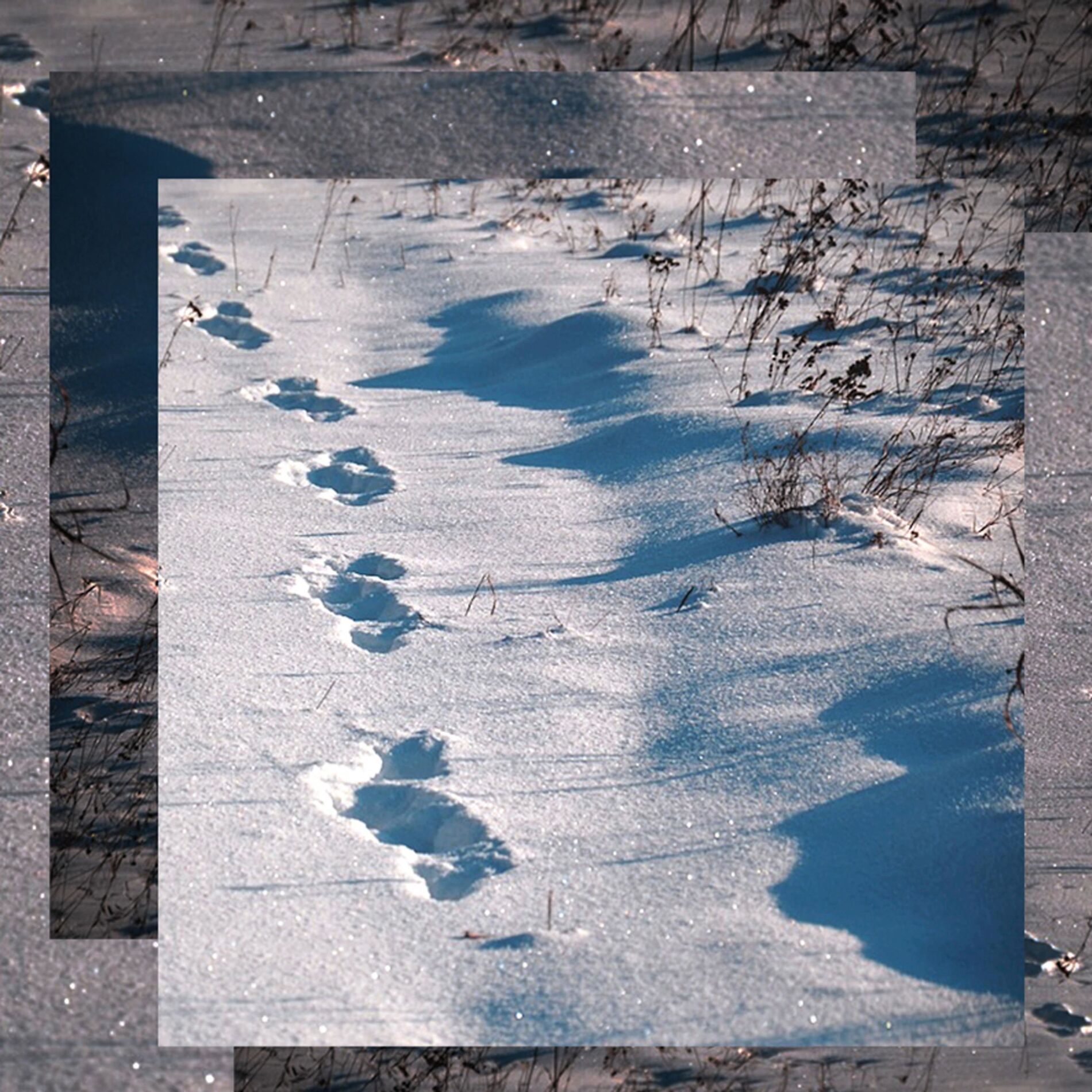 Album cover of Cold Feet (feat. Careless, Suelily, Damboss, Eklipse & Awrt)