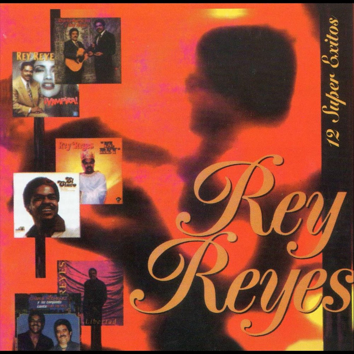 Album cover of 12 Super Exitos