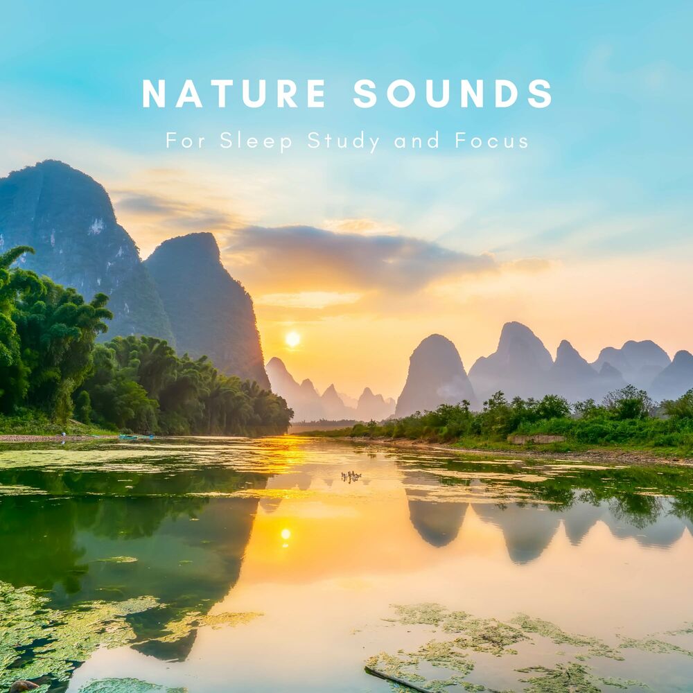 Picture of Nature Sounds for Sleep Study and Focus