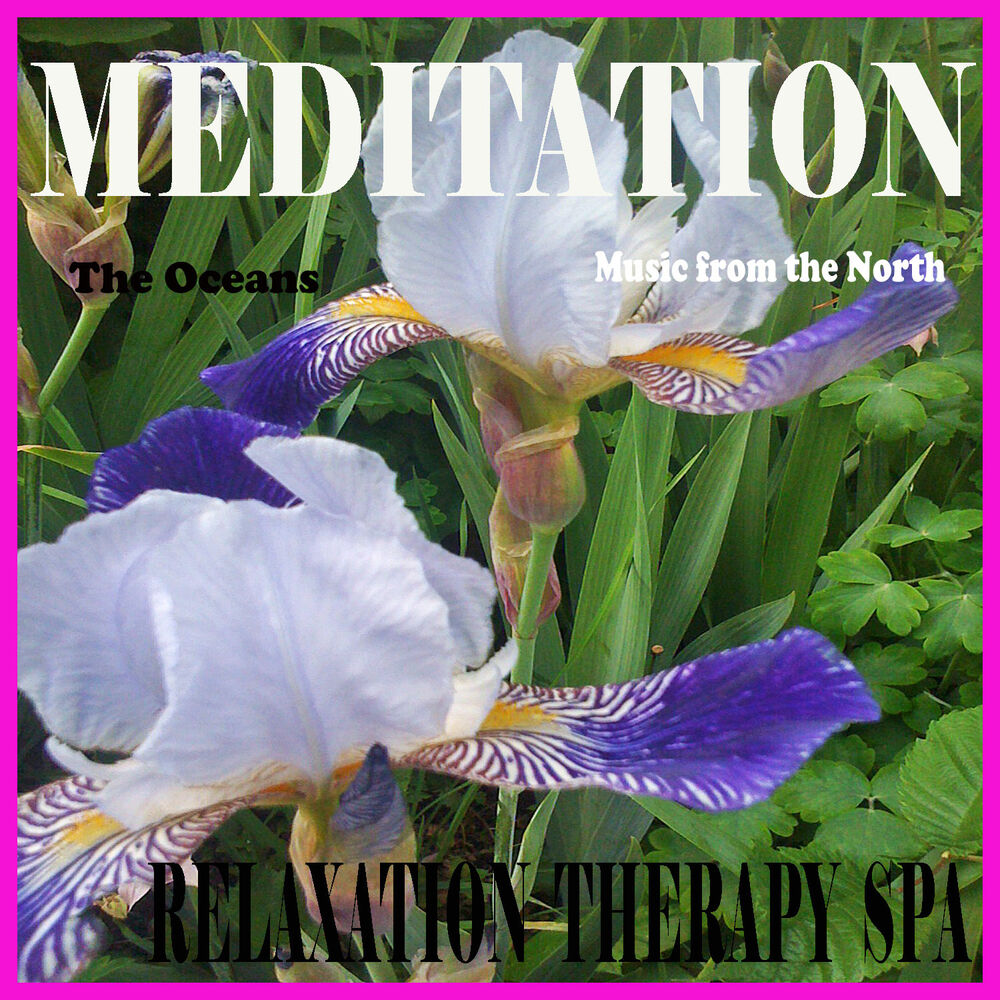 Picture of Meditation