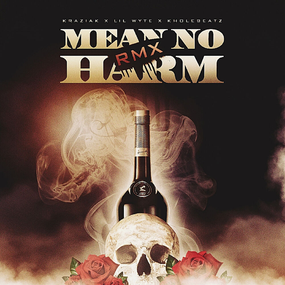 Picture of Mean No Harm Rmx