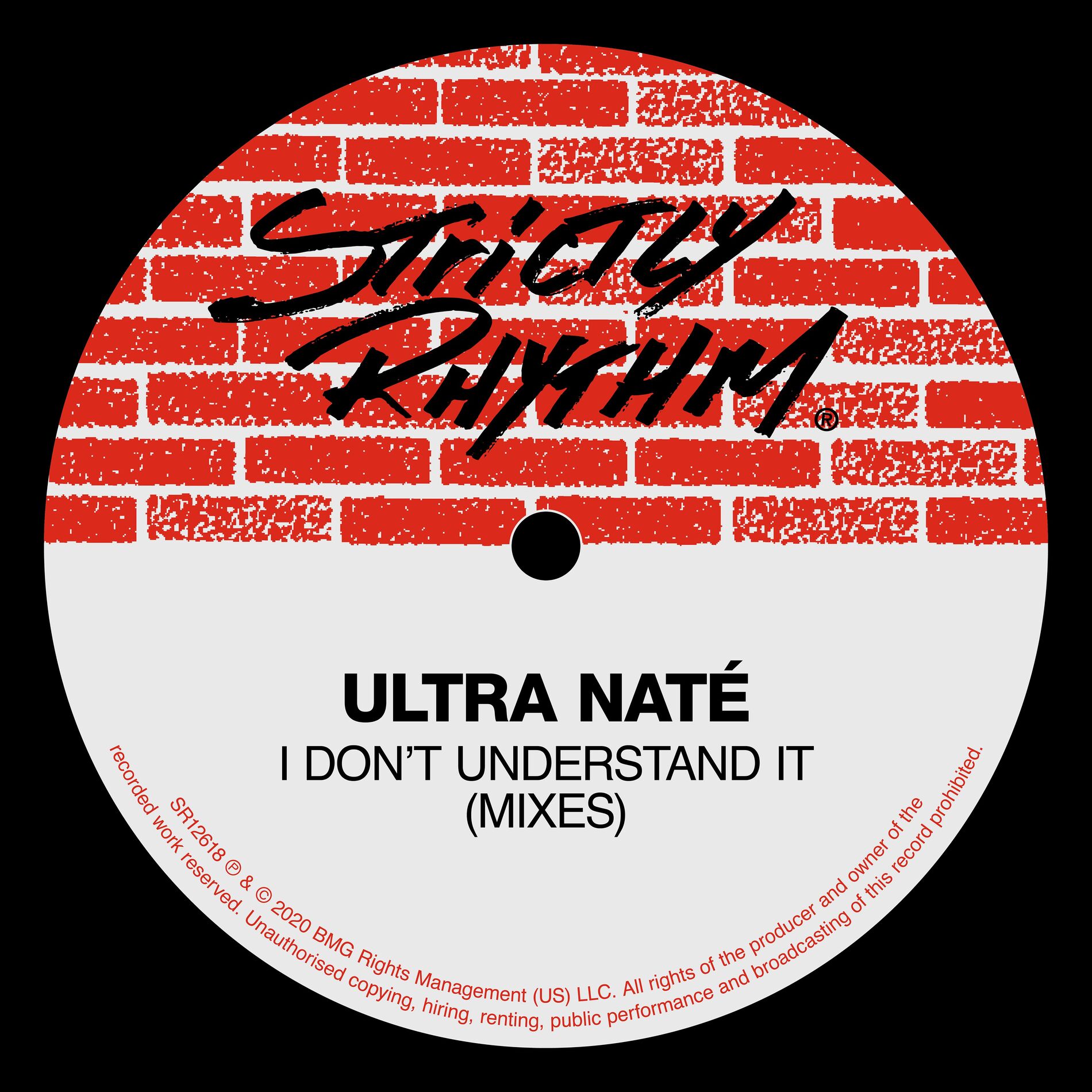 Album cover of I Don't Understand It (Mixes)