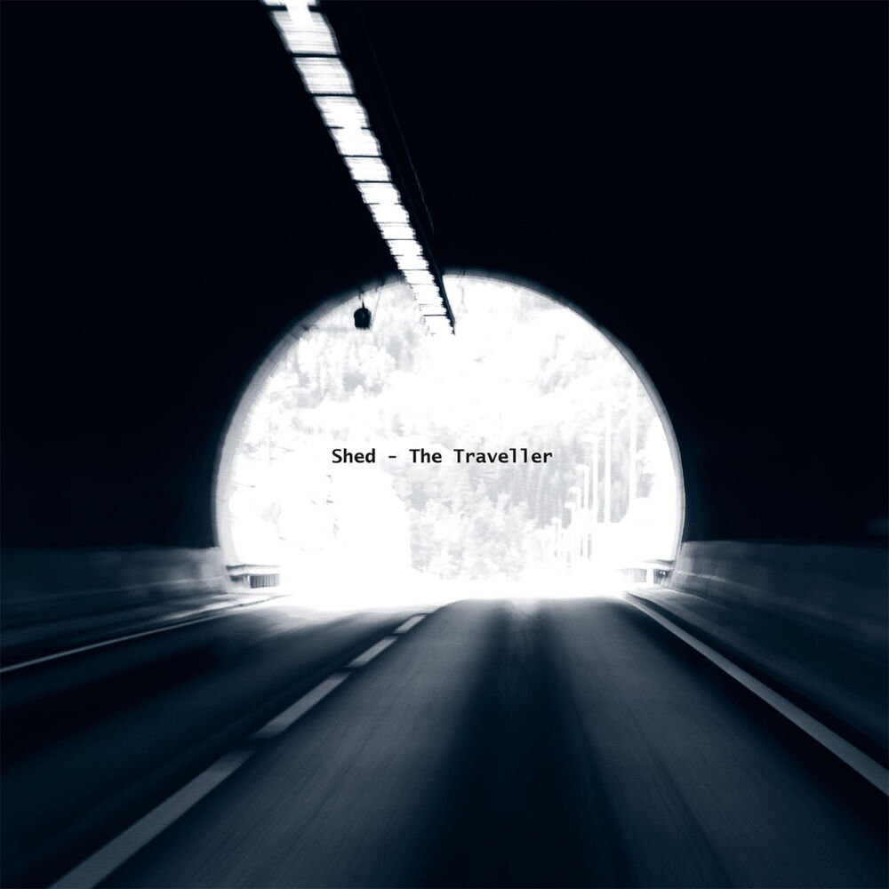 Picture of The Traveller