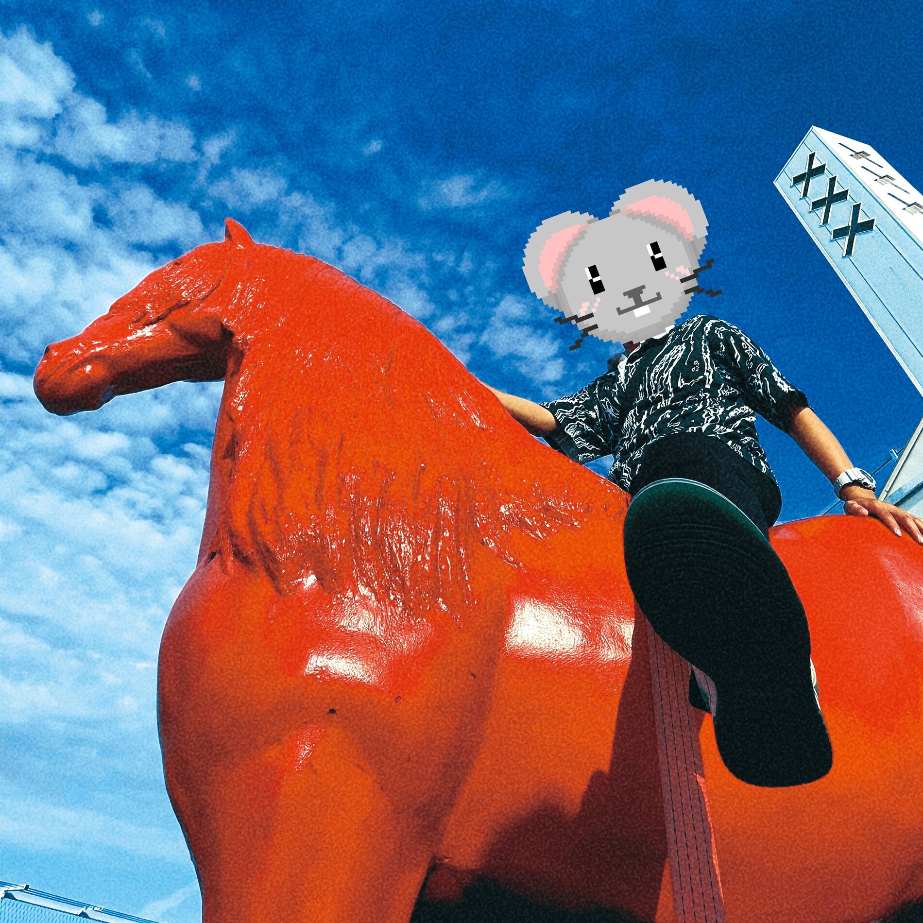 Album cover of Deutscher Mausmann