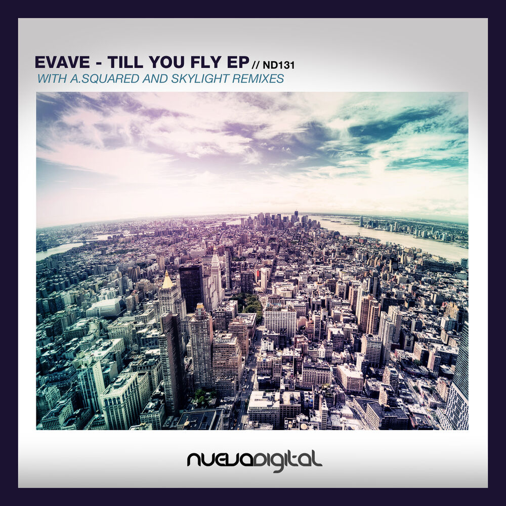 Picture of Till You Fly
