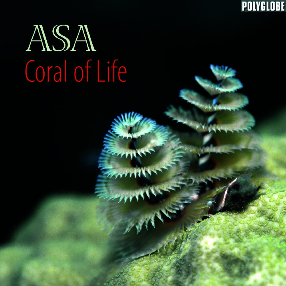Picture of Coral of Life