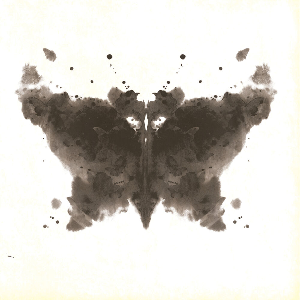 Picture of Papillon