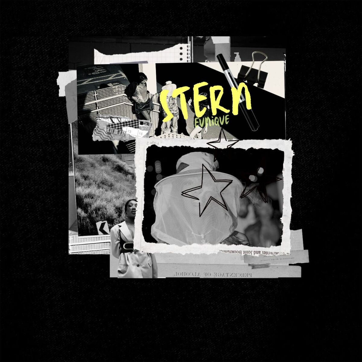 Album cover of Stern