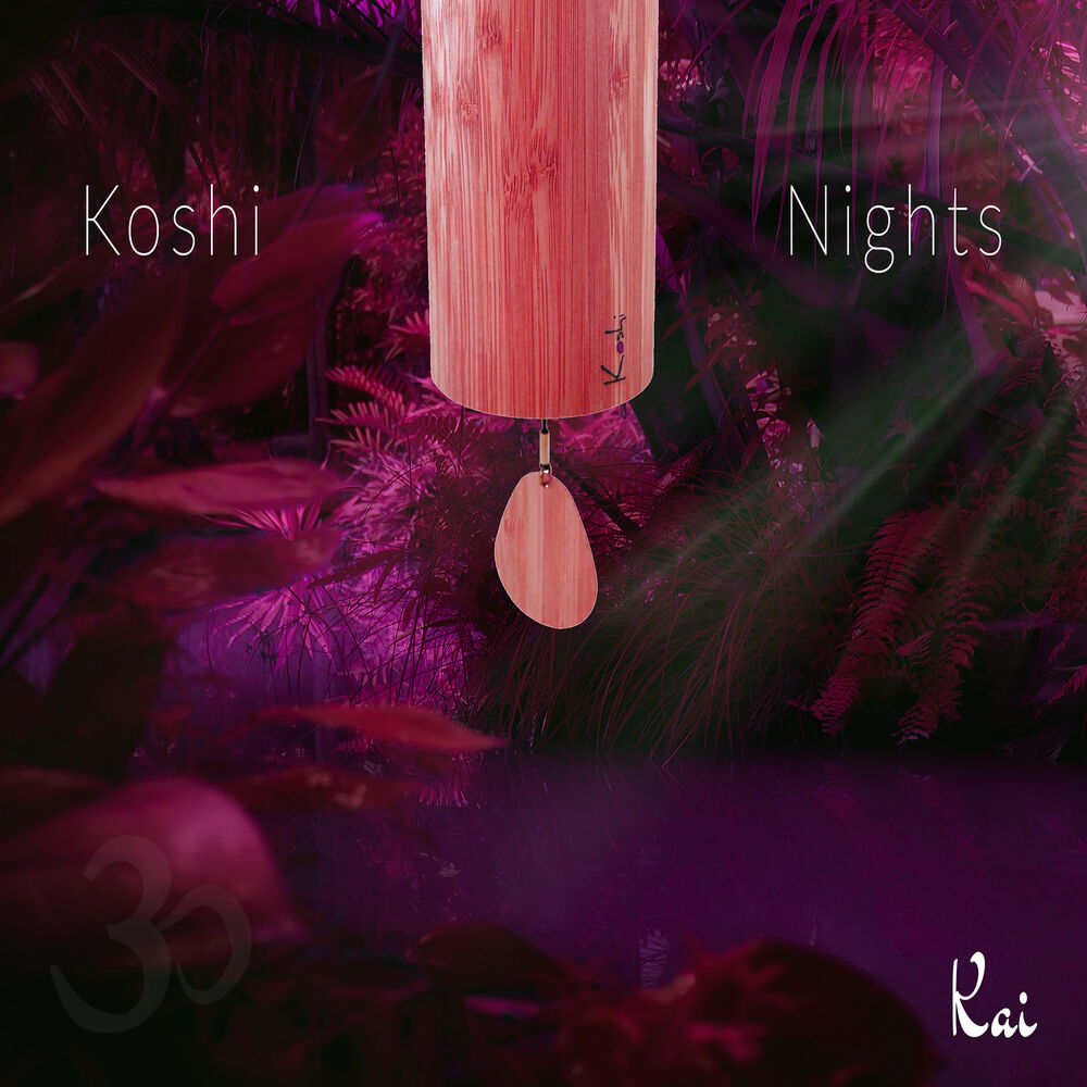 Picture of Koshi Nights