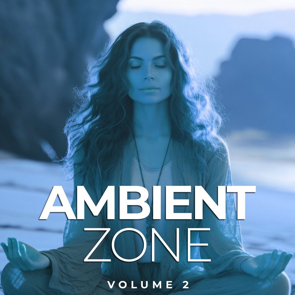 Picture of The Ambient Zone, Vol. 2