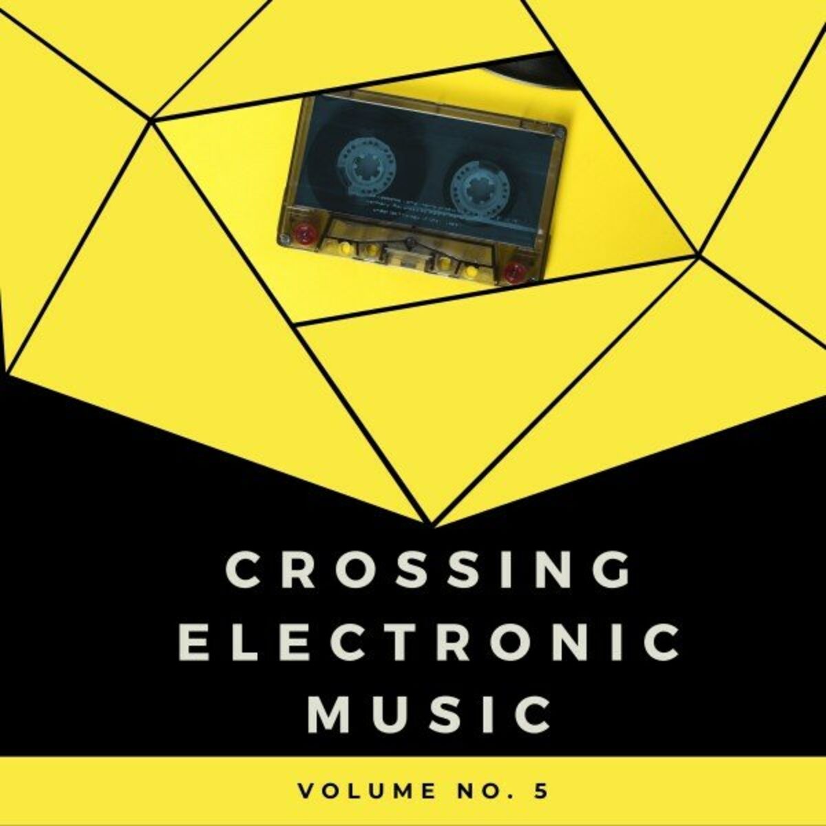 Album cover of Crossing Electronic Music, Vol. 5