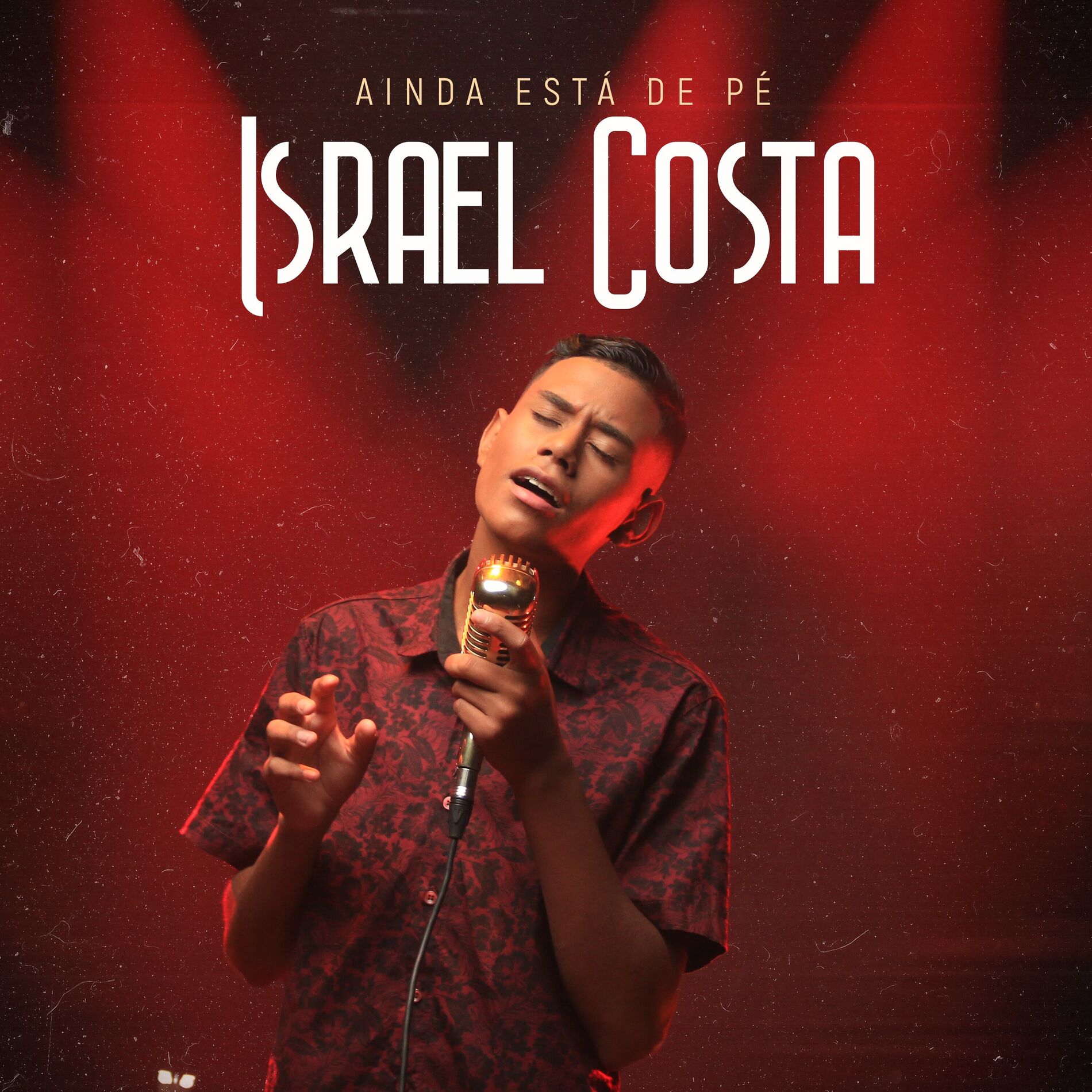 Album cover of Ainda Está de Pé