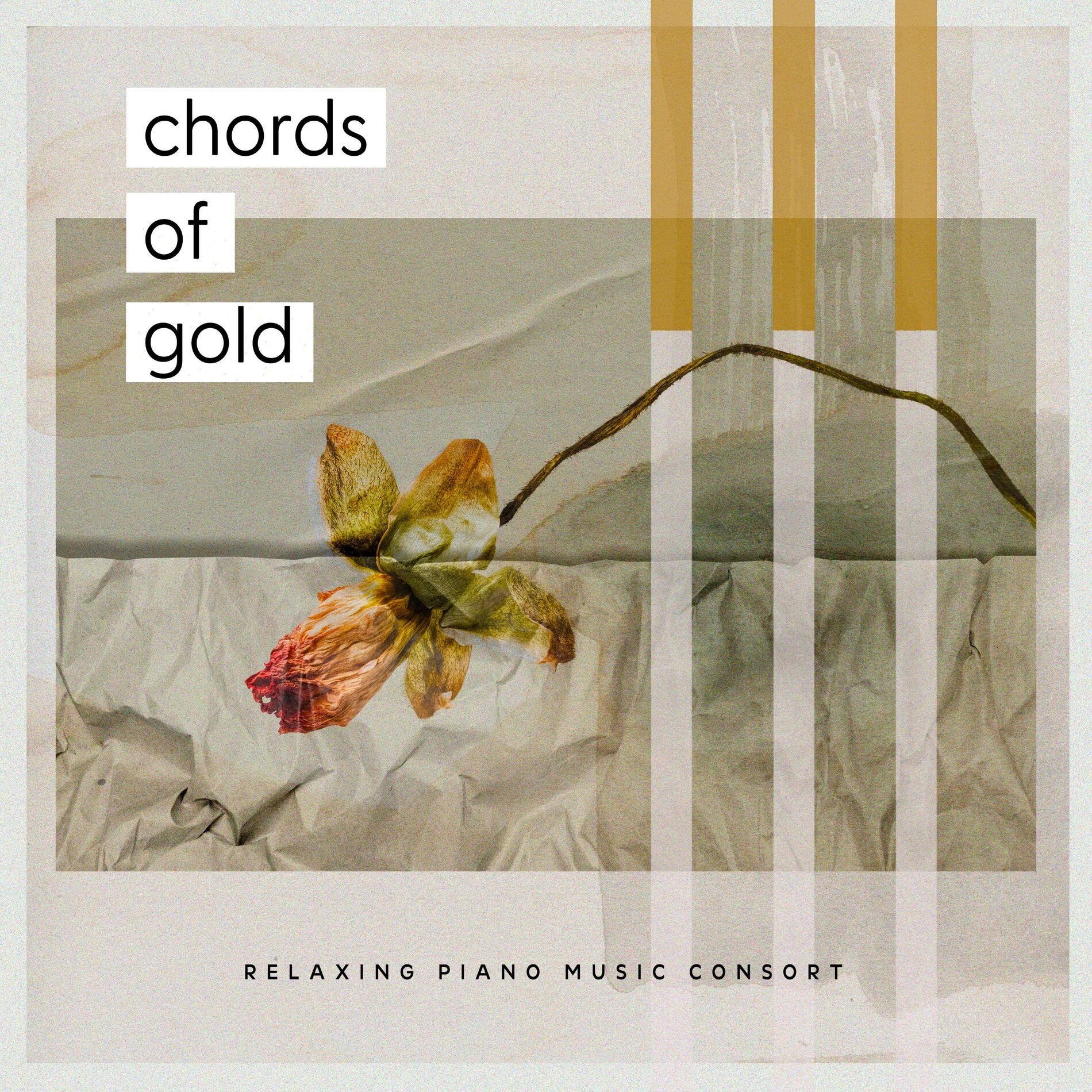 Album cover of Chords of Gold