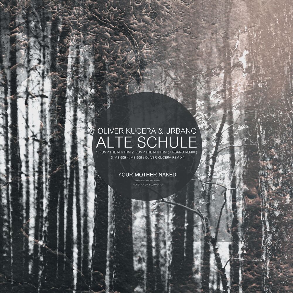 Picture of Alte Schule