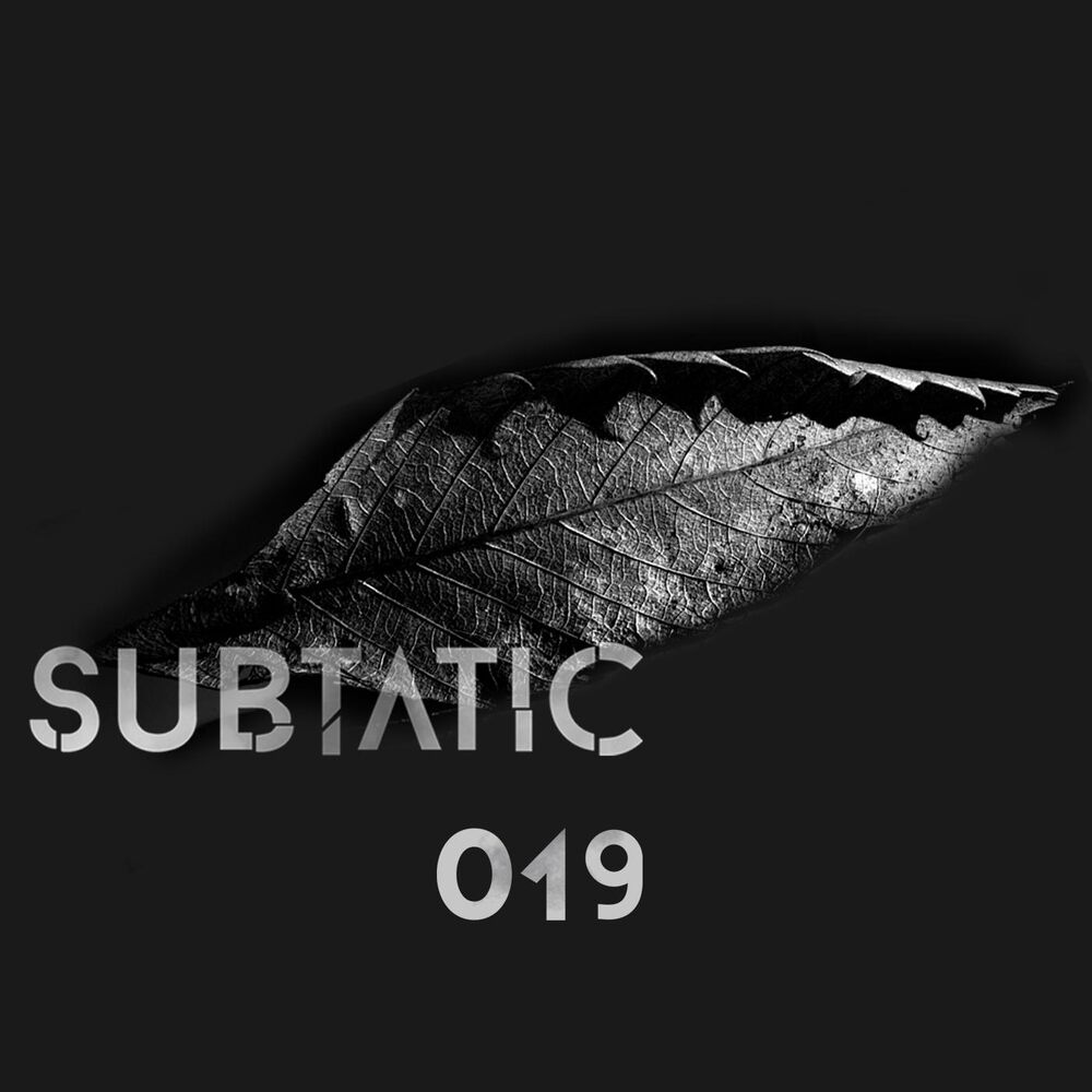 Picture of Subtatic 019