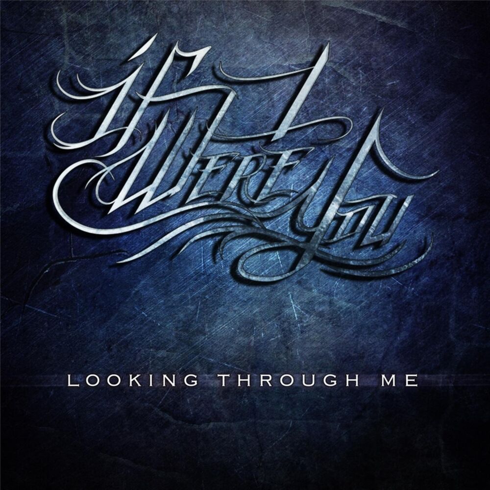 Picture of Looking Through Me