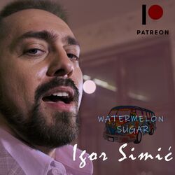 Cover of Watermelon Sugar