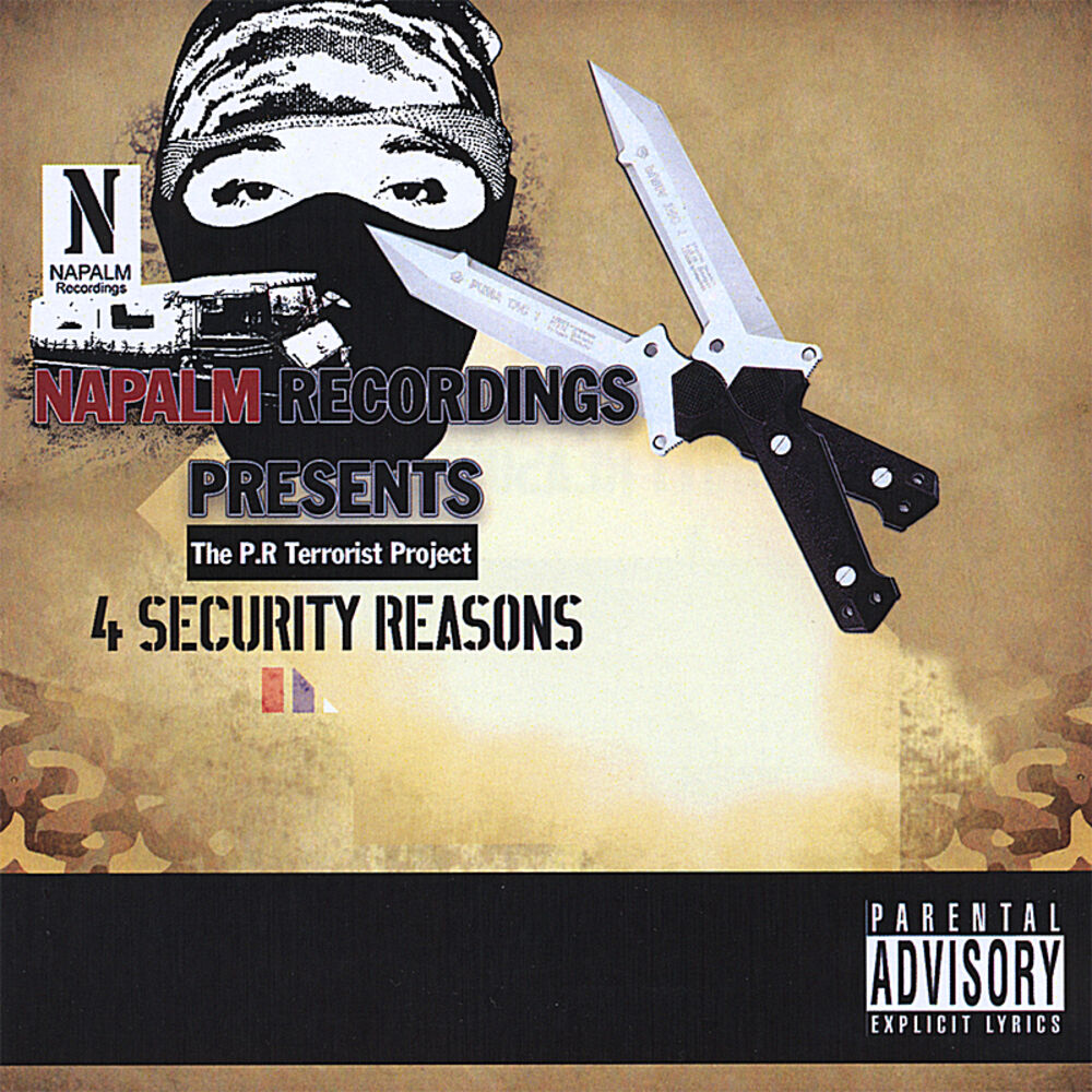 Picture of 4 Security Reasons