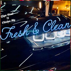 Cover of Fresh & Clean
