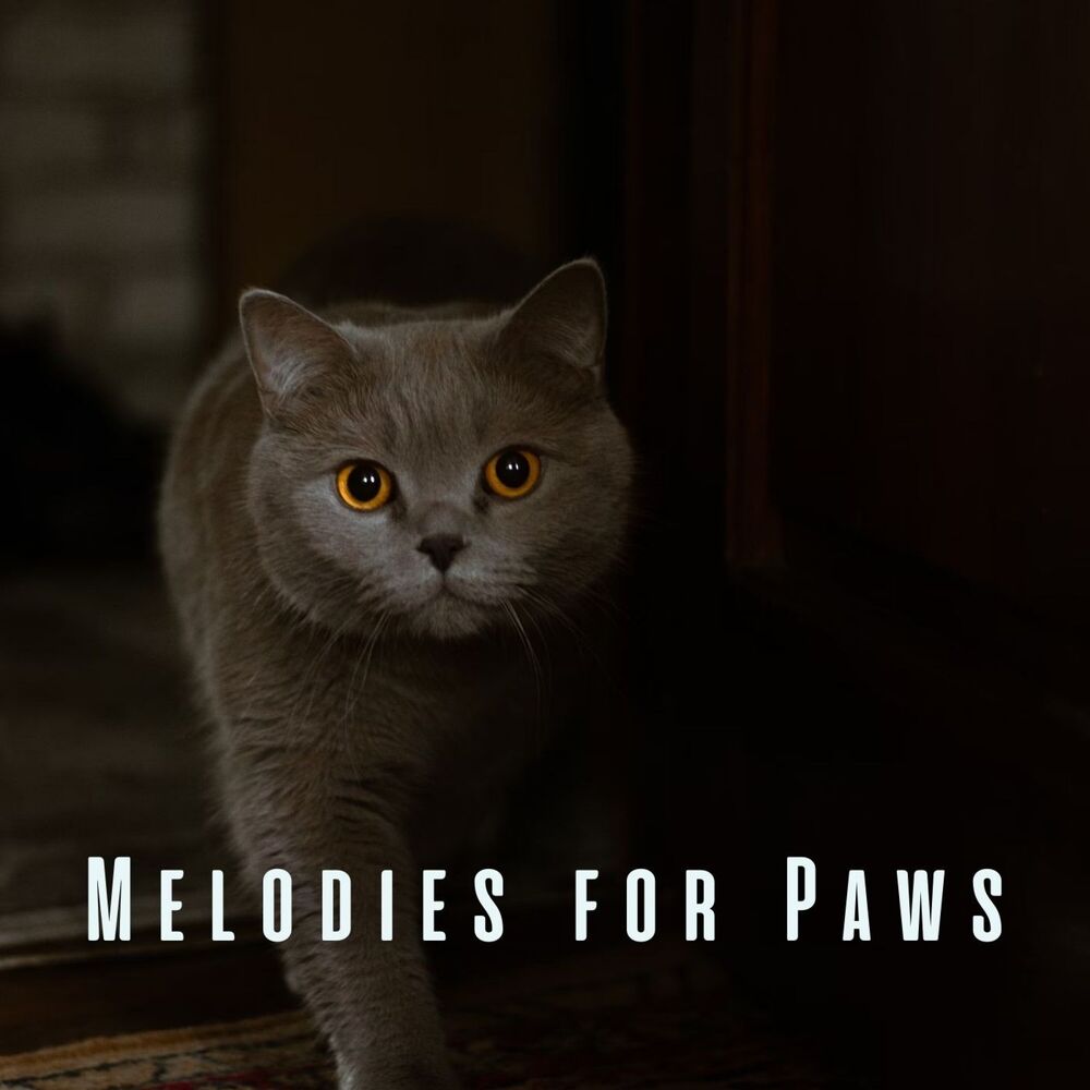 Picture of Melodies for Paws: Gentle Piano Meditations for Calm Cats