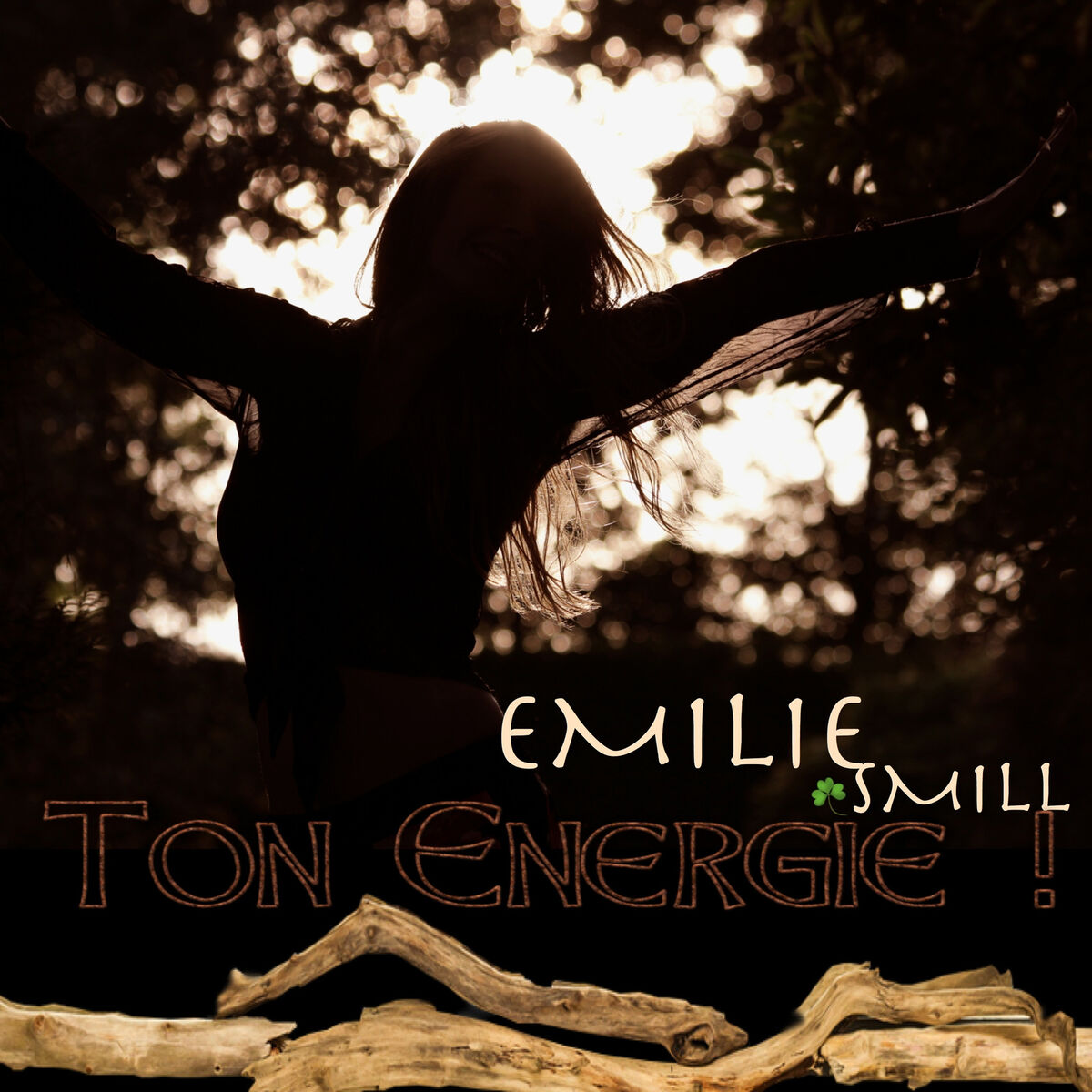 Album cover of Ton Energie !