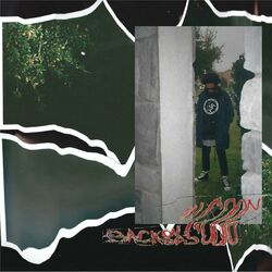 Cover of Back on Top Soon