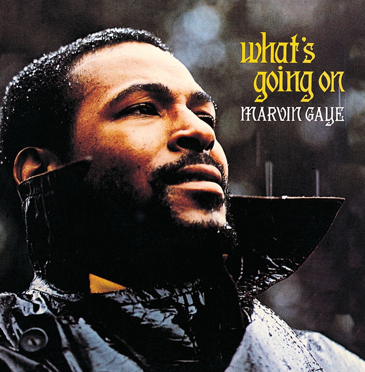 Album cover of What's Happening Brother