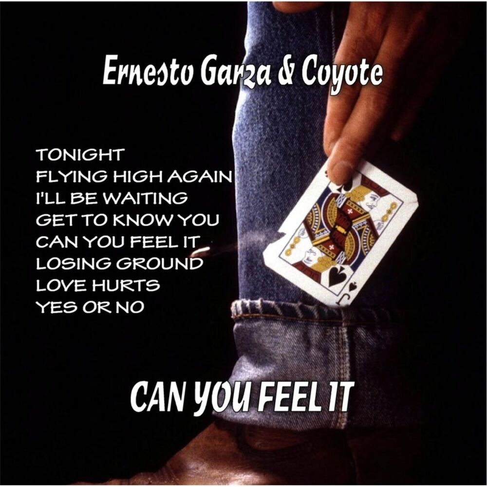 Picture of Can You Feel It