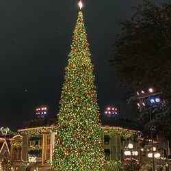 Cover of Christmas Break