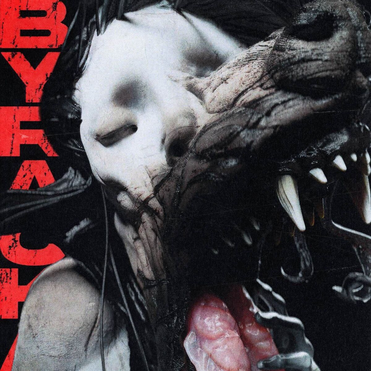 Album cover of Byracka