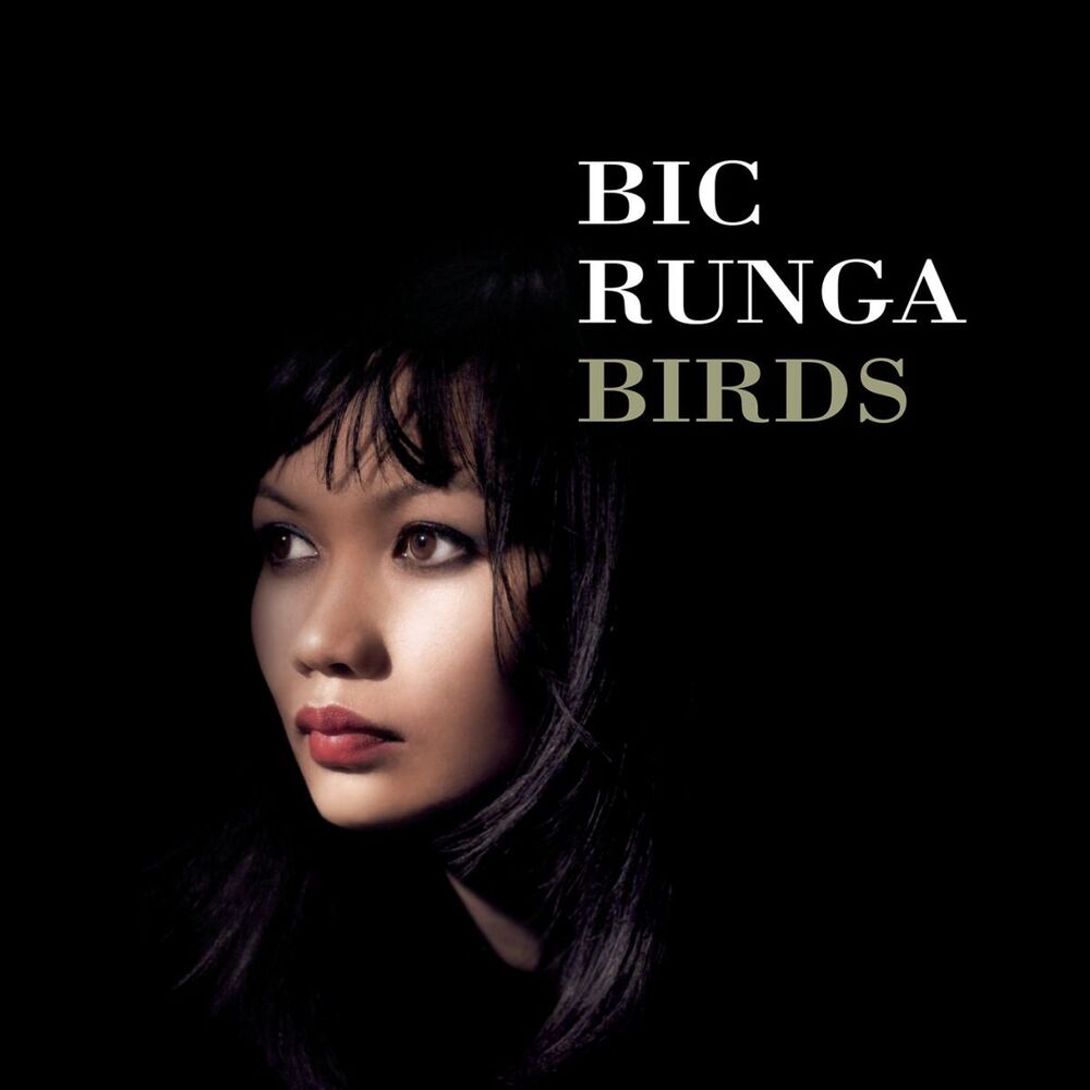 Picture of Birds