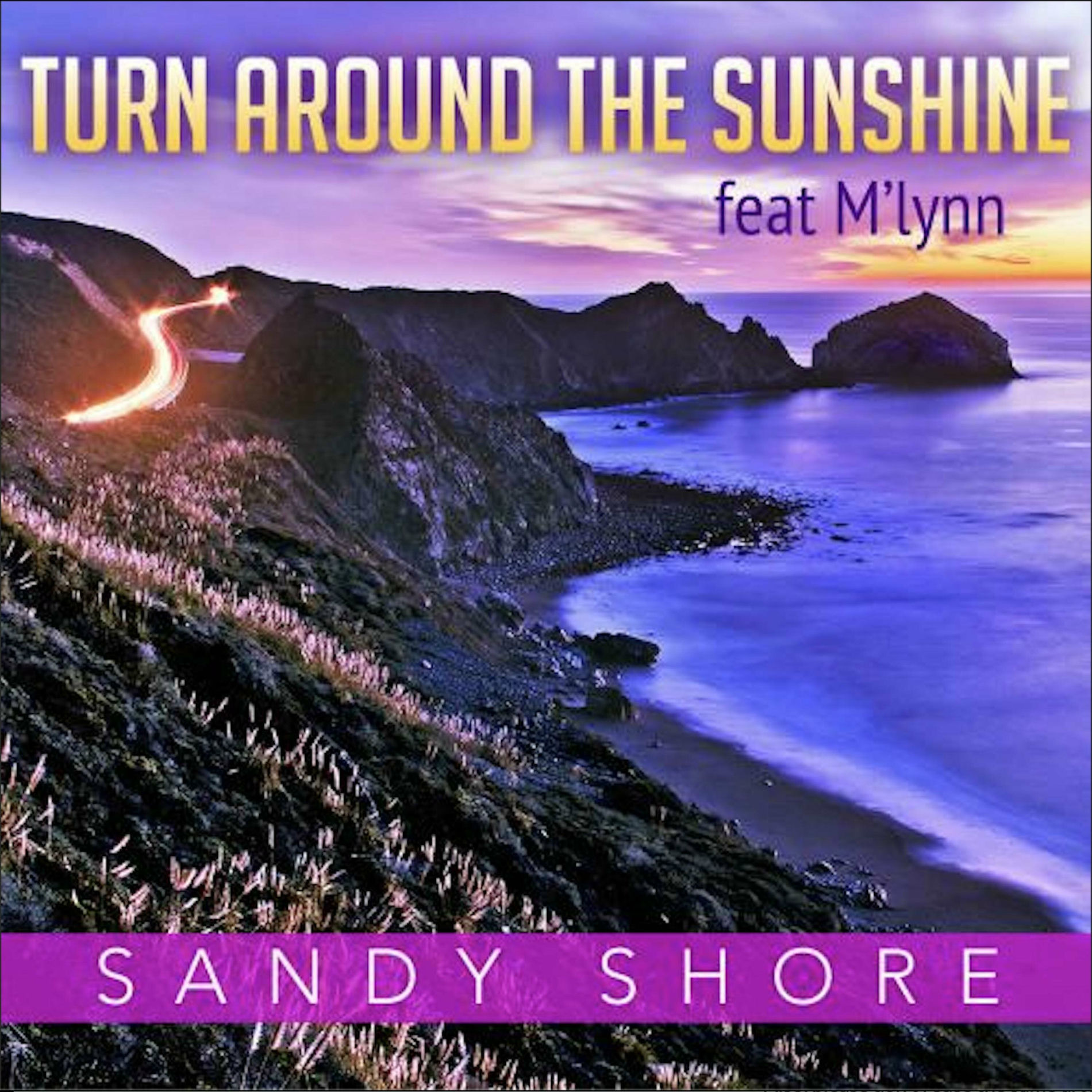 Album cover of Turn Around The Sunshine