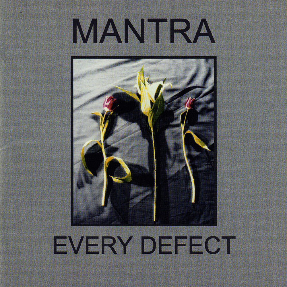 Picture of Every Defect