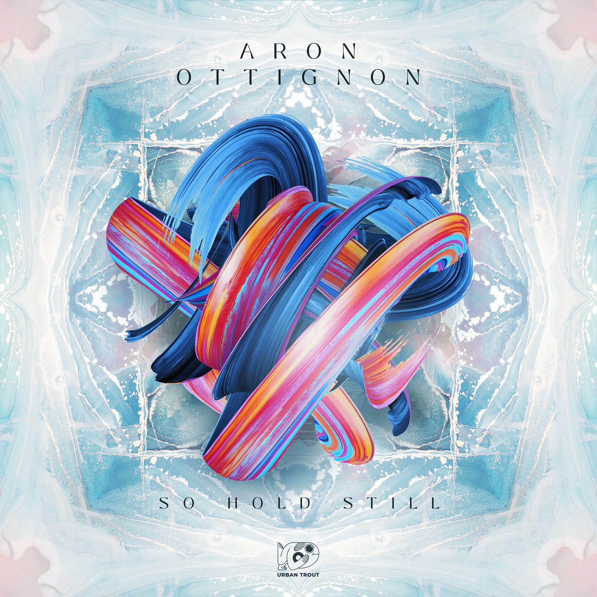 Album cover of So Hold Still
