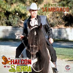 Cover of Muerte En El Sembrado