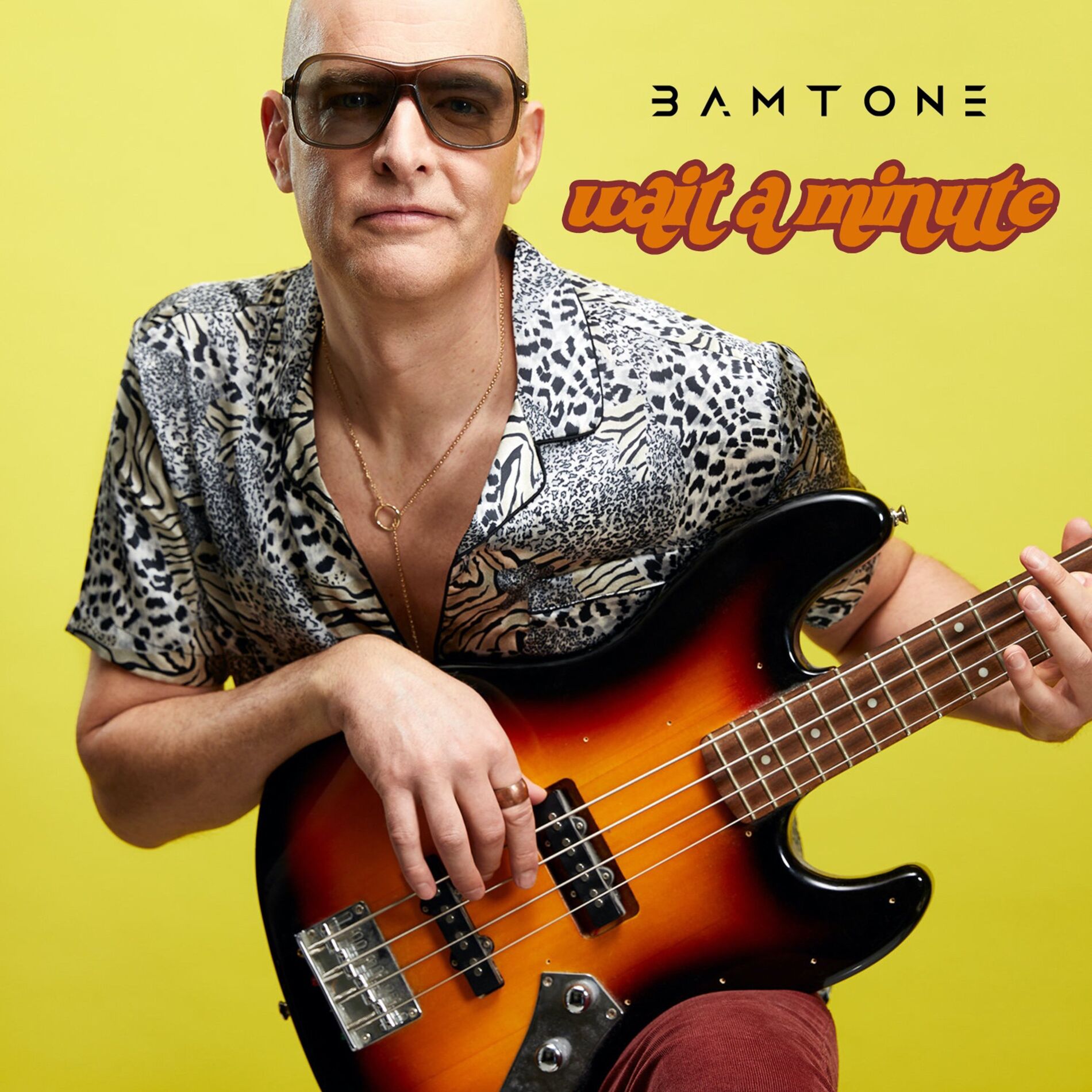 Album cover of Wait a Minute