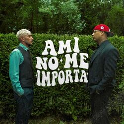 Cover of Ami No Me Importa