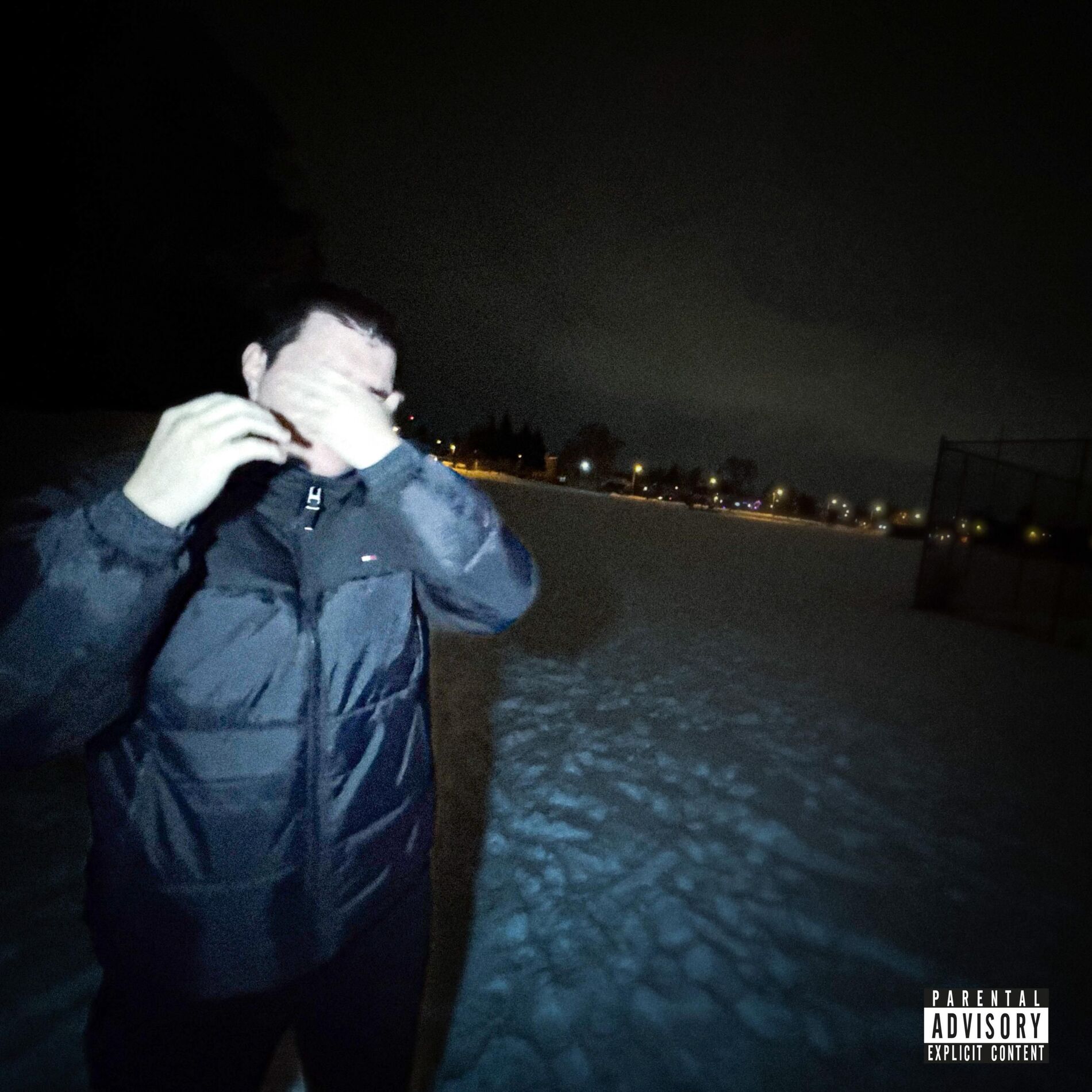 Album cover of the long cry.
