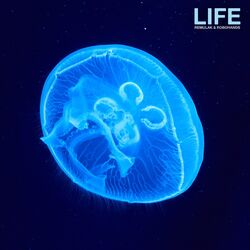 Cover of Life