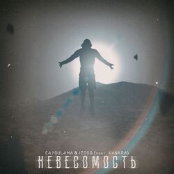 Cover of НЕВЕСОМОСТЬ