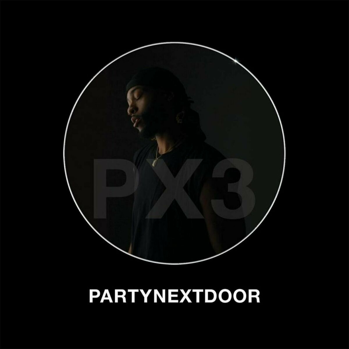 Album cover of PARTYNEXTDOOR 3 (P3)