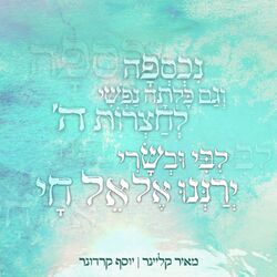 Cover of נכספה