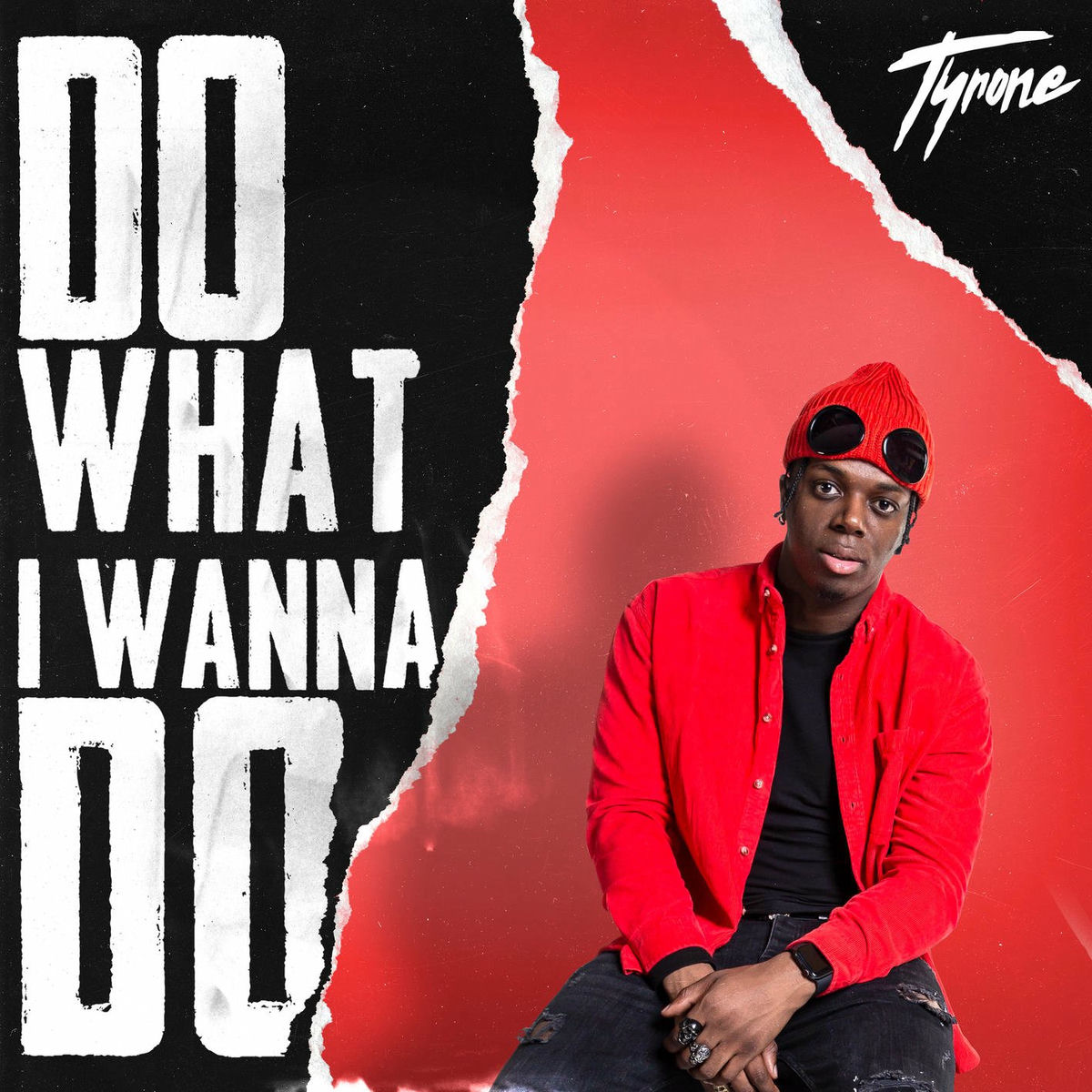 Album cover of Do What I Wanna Do