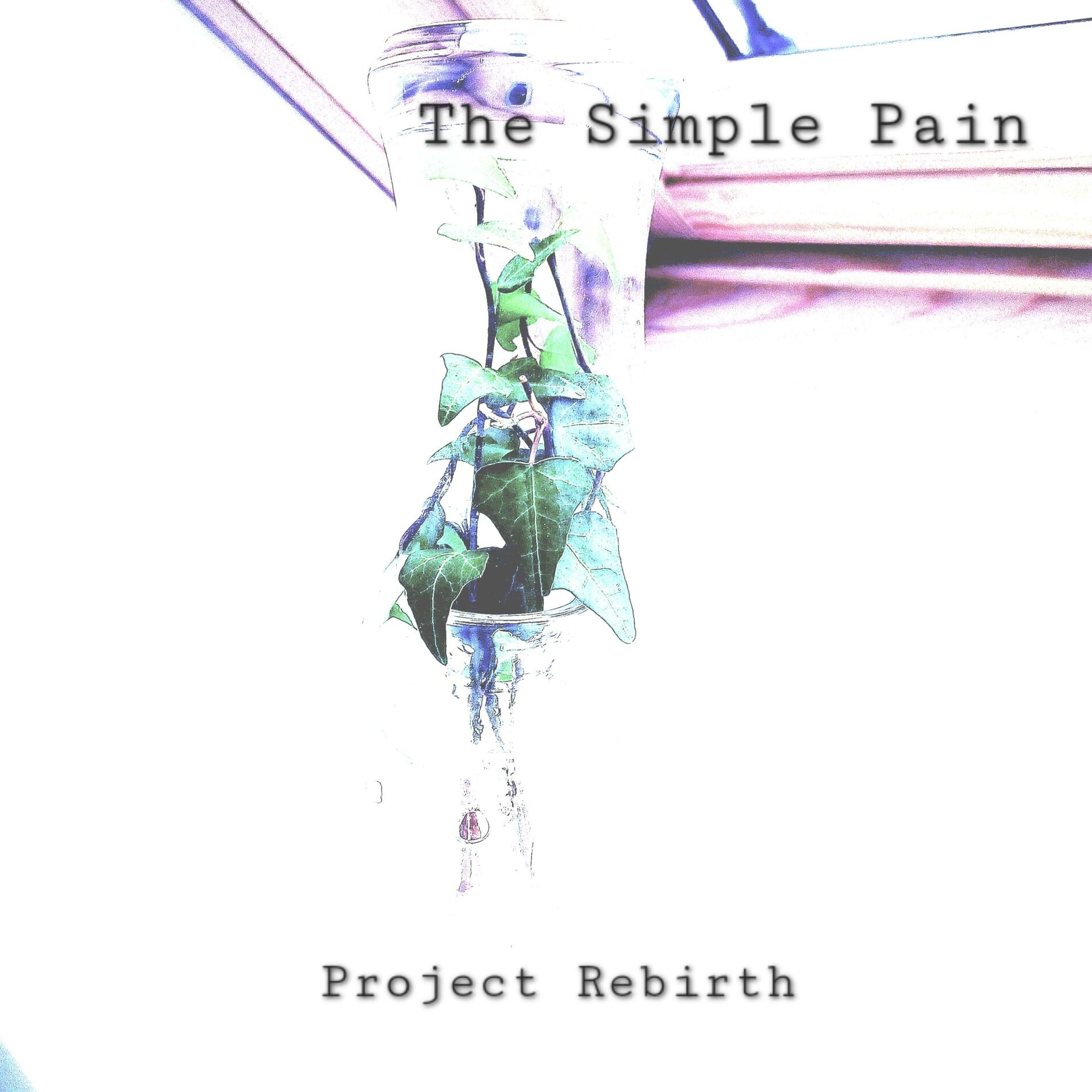 Album cover of Project Rebirth